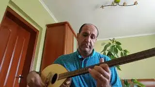 Chava ti hare