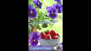 Доброе утро! Хорошего настроения! Удачного дня!
