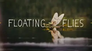 Floating Flies | Dry Fly Documentary 2020
