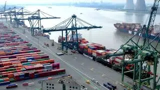 PSA Europa Terminal Q869 - green line making the future proof quay visible