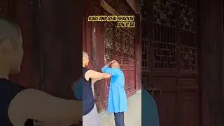 Real Shaolin Kungfu #wushu #martialarts #shaolin #kungfu #shaolinkungfu #shifu #shifukanishka #mma