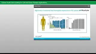Clinical Scale Gene Editing for Cell and Gene Therapy Applications