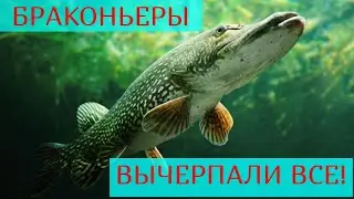 БРАКОНЬЕРЫ ВЫЧЕРПАЛИ МОЕ ОЗЕРО ДЕТСТВА! БЕСКОНТРОЛЬНЫЙ ЛОВ НЕВОДАМИ!