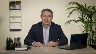Лисы в Москве