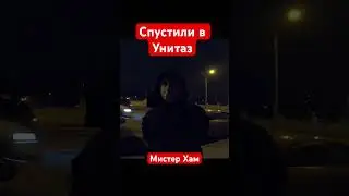 🔥🔥🔥СПУСТИЛИ В УНИТАЗ!!! #shorts