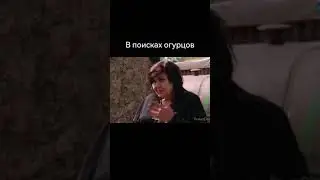 20 июня 2023 г.