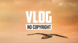 LiQWYD - Play It Safe (Vlog No Copyright Music)