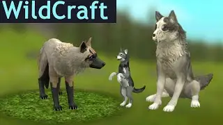 Еще один волчонок и Хэллоуинское обновление в Wildcraft