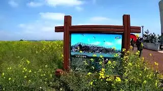 이 영상보면 가야될걸~~^^