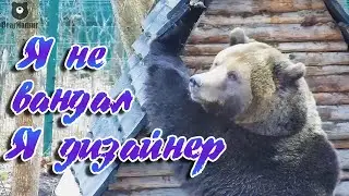 Барин решил сделать ремонт в избушке🐻🛠