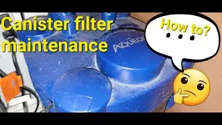 Aqueon canister filter maintenance