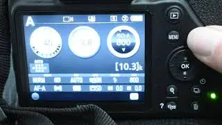 Photography Basics: How to Change ISO Setting on DSLR Camera