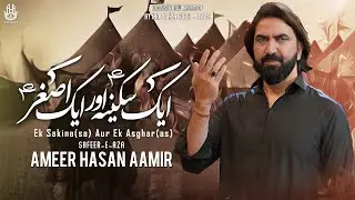 Nohay 2023 | Ek Sakina Aur Ek Asghar | Ameer Hasan Aamir 2023 | New Noha 2023