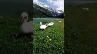 Jägersee Kleinarl Salzburg