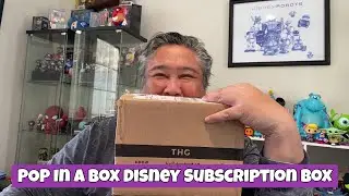 Pop In A Box Disney Subscription Box