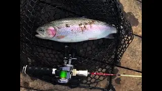 Осваиваю Прудовой Форель - Новая шпуля для Shimano Calcutta BFS