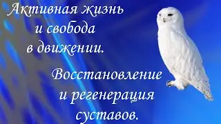 Восстановление и регенерация суставов. 