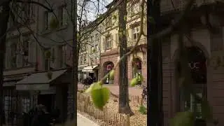 Собор
