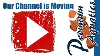 Premium Aquatics Channel is moving