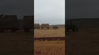 Идеальный ЮМЗ-6 возит солому