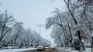 Bu yil O'zbekistonda qish qanday keladi?