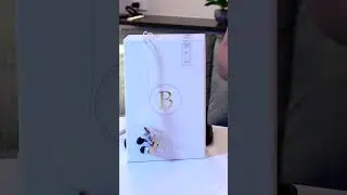 Final B3 In-ear Monitor 