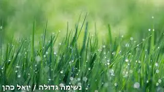 נשימה גדולה/יואל כהן