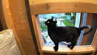 [workshop build-out - pt07] forecat disapproves of my mistakes!