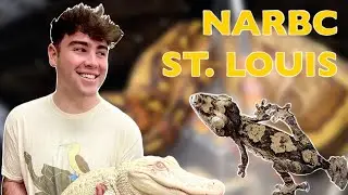 We Met Patient Zero! *INSANE* (NARBC St. Louis 2021)