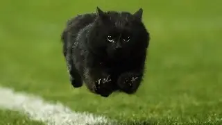 petz