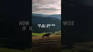 Song - Rise Singer - Caroline Jones #music #song #lyrics #shorts #fyp #rise #carolinejones #horse