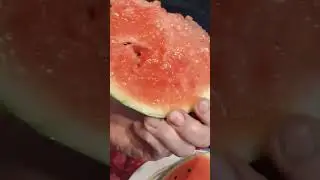Арбуз в Сибири.