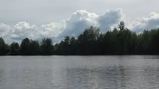Херабуна аля танаго.