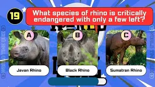 Guess the Rare and Endangered Animals?
