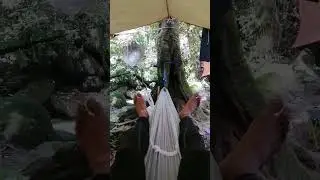 family camping | #shorts #hammock
