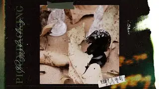 CRIZOSTMO - PIGGYBACKING FT. MEDRO & TRANÇA (VISUALIZER)