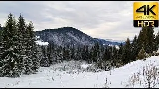 Mountain Zlatar, Serbia in 4K 60FPS