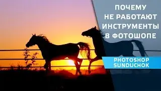 Tools in Photoshop | Why not work tools