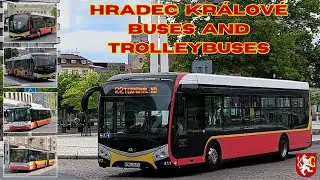 HRADEC KRÁLOVÉ 🇨🇿 - Buses and trolleybuses - 4K