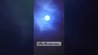 When the moon rises… #timelapse #moon #moonfall
