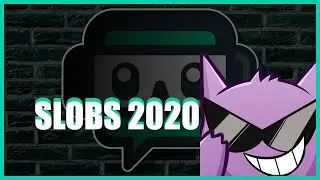 My Settings for SLOBS 2020