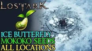 LOST ARK - ICEWING HEIGHTS All MOKOKO SEED LOCATIONS Guide