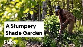Designing and Planting a STUMPERY Garden — Ep. 255