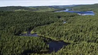 Цыганская песня