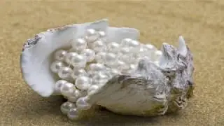 Cómo se forman las perlas naturales EN LAS OSTRAS