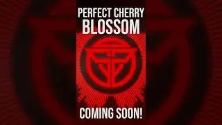 Early Preview - Perfect Cherry Blossom