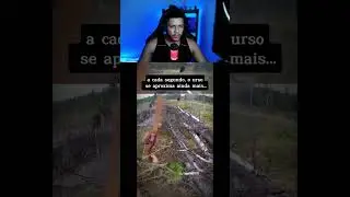 Esse foi de F