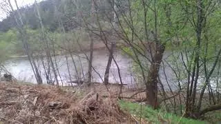 Пошёл дождь, а я хотел на рыбалку. Красивый весенний пейзаж!