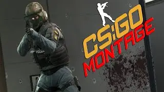 SEARCHING FOR TEAM | GrizzleyPower Montage #15