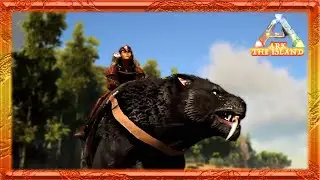 Taming a Sabertooth the hard way!